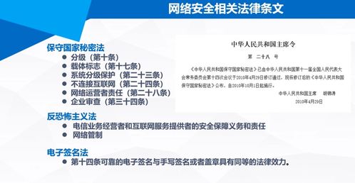 國(guó)家網(wǎng)絡(luò)信息安全 第一章 網(wǎng)絡(luò)與信息安全軟件開發(fā)